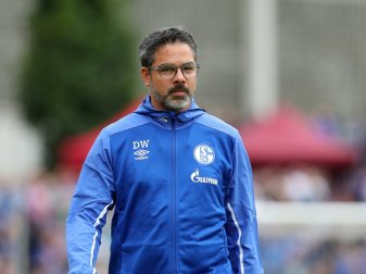 Gibt keine großen Ziele aus: Trainer David Wagner