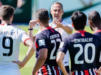 Für Trainer Adi Hütter ist auch der FC Flora kein Selbstläufer: «Das wird kein Spaziergang werden.» Foto: Uwe Anspach Für Trainer Adi Hütter ist auch der FC Flora kein Selbstläufer: «Das wird kein Spaziergang werden.» Foto: Uwe Anspach
