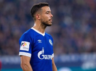 Momentan ohne Verein: Der ehemalige Schalker Franco Di Santo. Foto: Guido Kirchner Momentan ohne Verein: Der ehemalige Schalker Franco Di Santo. Foto: Guido Kirchner