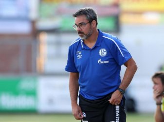 Bereitet sein Team in Österreich auf die Saison vor: Schalke-Coach David Wagner. Foto: Tim Rehbein Bereitet sein Team in Österreich auf die Saison vor: Schalke-Coach David Wagner. Foto: Tim Rehbein