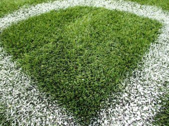 Aufsteiger Mannheim holt ersten Saisonsieg Aufsteiger Mannheim holt ersten Saisonsieg