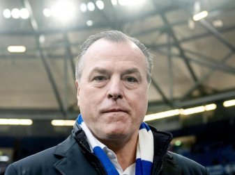 Wird nach seinen Äußerungen über Afrikaner hart kritisiert: Schalkes Aufsichtsratschef Clemens Tönnies. Foto: Bernd Thissen Wird nach seinen Äußerungen über Afrikaner hart kritisiert: Schalkes Aufsichtsratschef Clemens Tönnies. Foto: Bernd Thissen