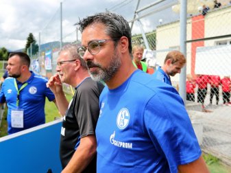 David Wagner steht vor seinem Pflichtspieldebüt David Wagner steht vor seinem Pflichtspieldebüt