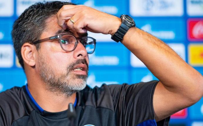 Schalke-Trainer David Wagner auf der Pressekonferenz in Gelsenkirchen. Foto: Guido Kirchner