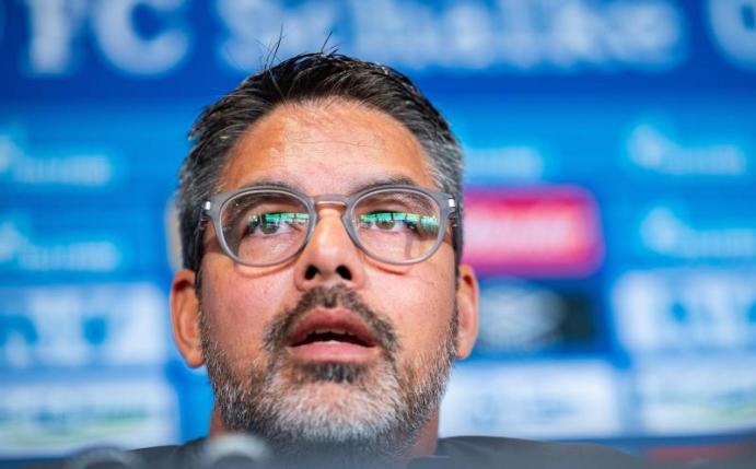 Schalke-Trainer David Wagner freut sich auf die erste Pokalrunde. Foto: Guido Kirchner