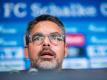 Schalke-Trainer David Wagner freut sich auf die erste Pokalrunde. Foto: Guido Kirchner