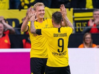 BVB-Neuzugang Julian Brandt (l) jubelt mit Doppel-Torschütze Paco Alcácer. Foto: Guido Kirchner BVB-Neuzugang Julian Brandt (l) jubelt mit Doppel-Torschütze Paco Alcácer. Foto: Guido Kirchner