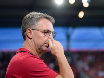 Trainer Damir Canadi kann seinen zwölften Neuzugang begrüßen. Foto: Matthias Balk Trainer Damir Canadi kann seinen zwölften Neuzugang begrüßen. Foto: Matthias Balk