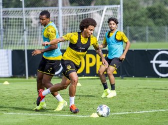 Fühlt sich beim BVB wohl: Axel Witsel (M.). Foto: David Inderlied Fühlt sich beim BVB wohl: Axel Witsel (M.). Foto: David Inderlied