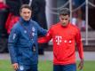 Trainer Niko Kovac wird Philippe Coutinho (r) nicht von Beginn an bringen. Foto: Sven Hoppe