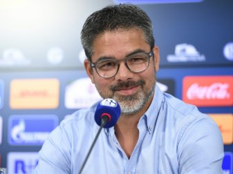 David Wagner freut sich auf Heimpremiere gegen Bayern David Wagner freut sich auf Heimpremiere gegen Bayern