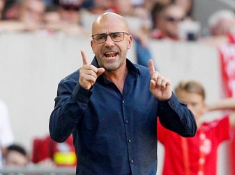 Trainer Peter Bosz leistet gute Arbeit in Leverkusen. Foto: Roland Weihrauch Trainer Peter Bosz leistet gute Arbeit in Leverkusen. Foto: Roland Weihrauch