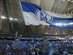 Ein Schalke-Fan zeigte Schiedsrichter Marco Fritz an
