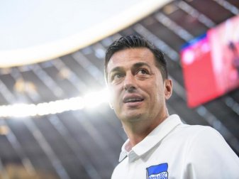 Ante Covic will auf Schalke mit hertha punkten. Foto: Matthias Balk Ante Covic will auf Schalke mit hertha punkten. Foto: Matthias Balk