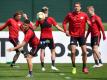 RB Leipzig trifft in der Champions League auf Zenit St. Petersburg, Benfica Lissabon und Olympique Lyon. Foto: Hendrik Schmidt