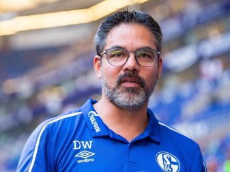 Sucht noch Verstärkungen: Schalke-Coach David Wagner. Foto: Guido Kirchner Sucht noch Verstärkungen: Schalke-Coach David Wagner. Foto: Guido Kirchner