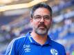 Sucht noch Verstärkungen: Schalke-Coach David Wagner. Foto: Guido Kirchner