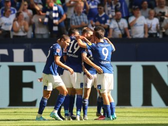 Schalke kann wieder Tore schießen Schalke kann wieder Tore schießen