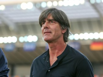 Löw sieht den Umbruch nicht gefährdet Löw sieht den Umbruch nicht gefährdet