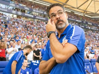 David Wagner ist der Trainer des FC Schalke 04. Foto: Federico Gambarini David Wagner ist der Trainer des FC Schalke 04. Foto: Federico Gambarini