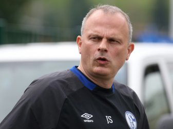 Schneider attackiert Röttgermann im Raman-Streit Schneider attackiert Röttgermann im Raman-Streit