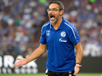 Schalke-Trainer David Wagner würde mit seinem Team gerne die Tabellenführung übernehmen. Foto: Federico Gambarini Schalke-Trainer David Wagner würde mit seinem Team gerne die Tabellenführung übernehmen. Foto: Federico Gambarini