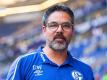 Trainer David Wagner dämpft auf Schalke die Erwartungen. Foto: Guido Kirchner