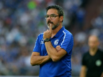 David Wagner glaubt nicht an die Europapokalteilnahme David Wagner glaubt nicht an die Europapokalteilnahme