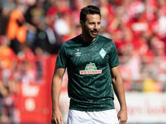 Bremens Claudio Pizarro könnte bei einem Einsatz gegen Leipzig einen weiteren Rekord knacken. Foto: Soeren Stache