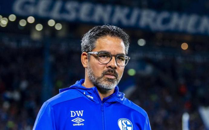 Fühlt sich wohl auf Schalke: Coach David Wagner. Foto: David Inderlied