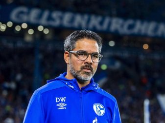 Fühlt sich wohl auf Schalke: Coach David Wagner. Foto: David Inderlied Fühlt sich wohl auf Schalke: Coach David Wagner. Foto: David Inderlied
