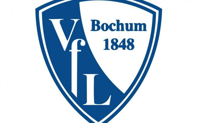Der VfL Bochum erwirtschaftete ein Plus von 833.000 Euro