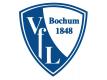 Der VfL Bochum erwirtschaftete ein Plus von 833.000 Euro