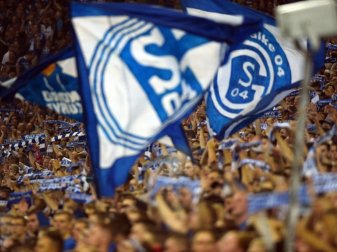 Schalke mit Minus bei Halbjahresbilanz Schalke mit Minus bei Halbjahresbilanz