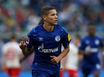 Harit tritt auf und neben dem Platz selbstbewusst auf Harit tritt auf und neben dem Platz selbstbewusst auf