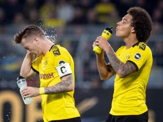 Die Dortmunder Marco Reus (l) und Axel Witsel erfrischen sich nach der Partie gegen den SV Werder Bremen. Foto: Bernd Thissen Die Dortmunder Marco Reus (l) und Axel Witsel erfrischen sich nach der Partie gegen den SV Werder Bremen. Foto: Bernd Thissen