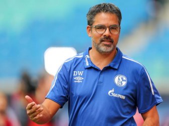 Sorgt sich nicht, dass seine Spieler übermütig werden könnten: Schalke-Trainer David Wagner. Foto: Jan Woitas/dpa-Zentralbild/dpa Sorgt sich nicht, dass seine Spieler übermütig werden könnten: Schalke-Trainer David Wagner. Foto: Jan Woitas/dpa-Zentralbild/dpa