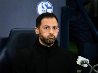 Könnte bald in Russland anheuern: Ex-Schalke-Coach Domenico Tedesco. Foto: Ina Fassbender/dpa Könnte bald in Russland anheuern: Ex-Schalke-Coach Domenico Tedesco. Foto: Ina Fassbender/dpa
