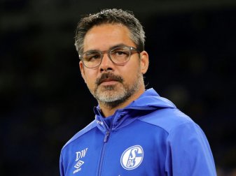 David Wagner mehr als ein "kleines Licht" David Wagner mehr als ein "kleines Licht"