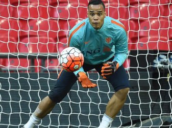 Springt bei Tottenham für den verletzten Stammkeeper Loris ein: Der Niederländer Michel Vorm. Foto: Facundo Arrizabalaga/epa/dpa Springt bei Tottenham für den verletzten Stammkeeper Loris ein: Der Niederländer Michel Vorm. Foto: Facundo Arrizabalaga/epa/dpa