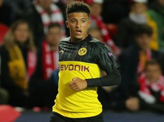 Jadon Sancho in der Champions League wieder dabei Jadon Sancho in der Champions League wieder dabei