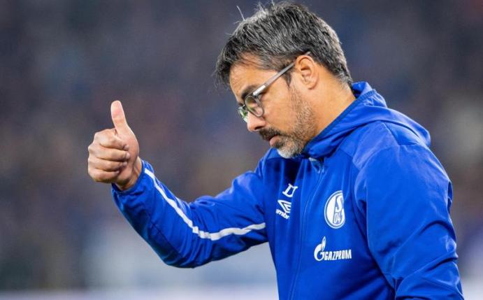 Muss im Derby auf Weston McKennie verzichten: Schalke-Trainer David Wagner. Foto: Guido Kirchner/dpa