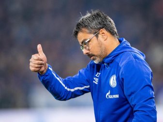 Muss im Derby auf Weston McKennie verzichten: Schalke-Trainer David Wagner. Foto: Guido Kirchner/dpa Muss im Derby auf Weston McKennie verzichten: Schalke-Trainer David Wagner. Foto: Guido Kirchner/dpa