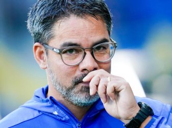 Hofft auf Kontinuität im Trainer-Geschäft: Schalkes Coach David Wagner. Foto: Uwe Anspach/dpa Hofft auf Kontinuität im Trainer-Geschäft: Schalkes Coach David Wagner. Foto: Uwe Anspach/dpa