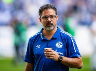Schalke-Trainer David Wagner. Foto: Guido Kirchner/dpa Schalke-Trainer David Wagner. Foto: Guido Kirchner/dpa