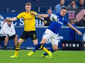 Marco Reus (l) hat noch nie auf Schalke getroffen - auch in seiner Gladbacher Zeit nicht. Foto: Guido Kirchner/dpa Marco Reus (l) hat noch nie auf Schalke getroffen - auch in seiner Gladbacher Zeit nicht. Foto: Guido Kirchner/dpa