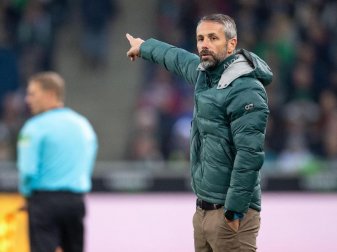 Mit Mönchengladbach obenauf: Borussia-Coach Marco Rose. Foto: Marius Becker/dpa Mit Mönchengladbach obenauf: Borussia-Coach Marco Rose. Foto: Marius Becker/dpa
