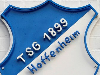 TSG Hoffenheim kann sich über Rekordumsatz freuen TSG Hoffenheim kann sich über Rekordumsatz freuen