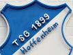 TSG Hoffenheim kann sich über Rekordumsatz freuen