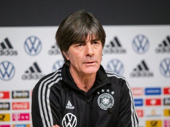 Unterstützung für Löw von DFB-Generalsekretär Curtius Unterstützung für Löw von DFB-Generalsekretär Curtius